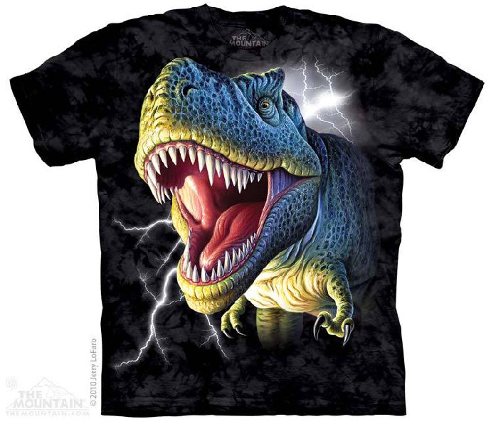 polera_103102001001.jpg